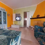 Musa Balbisiana Casa Citrus