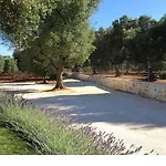 Trulli Dei Cotogni