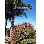 B&B Il Giardino Di Paola