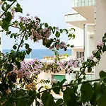 Lumi B&B Pet And Planet Friendly