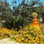 Depandance Con Piscina In Villa Vicino Porto Cesareo