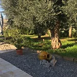 Quirico Guest House