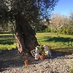 Quirico Guest House