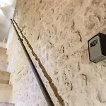 Il Violino E Il Sassofono