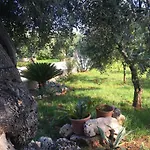 Quirico Guest House