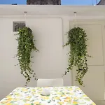 Family And Friends House