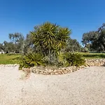 Country House Among The Olive Trees By Wonderful Italy