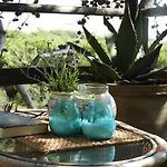 Appartamento Yucca Frontemare