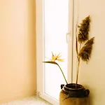 Sweet Home In Nature Reserve