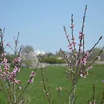 Traditional Stone House: Trullo Apluvia