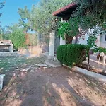 Casa Vacanze Del Carrubo