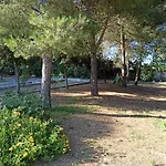 Casa Dei Nonni By Briciole Di Gusto - 3000Mq Di Relax In Giardino A 1500M Dal Mare
