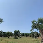 La Piccola Tufaia