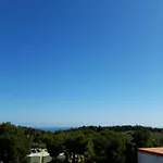Melograno 2