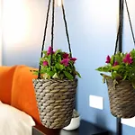 Floris: Modern Studio In The Heart Of City Center