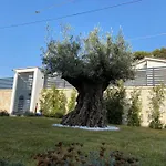 Villa Palladino Rooms