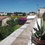 Bright Apartment In Minervino Di Lecce With Shared Pool