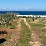 Dimora