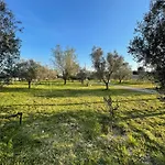 19Th Century Trullo Raeda In The Middle Of Nature