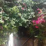Antonella Home