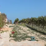 Td Tenuta Donna Madia Sea View Pool Over Vineyard