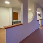 5 Bedroom Pet Friendly Home In Vieste