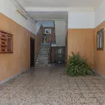 Eritrean Terrace