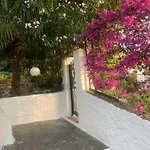 Attico Con Terrazzo E Finestre Sulla Baia Di Peschici