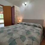 Il Geco B&B