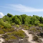 Casa Luna 100 Mt Dalla Spiaggia
