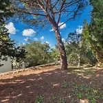 Trullo Foresta Forte By Barbarhouse