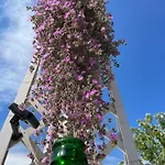 I Trulli Dei Nonni Evelin