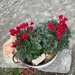 Il Trullo Di Nonno Licchio