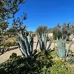 Villa Viva