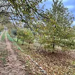 Il Trullo E Il Fortino