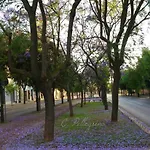 Le Tre Civette