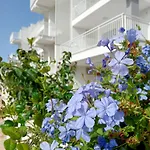 Color Dream Residence