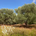 Domus Olea Glamping