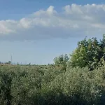 La Villa Del Conte