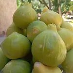 La Casa Di Nonna Teresa