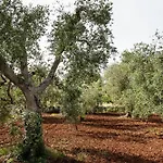 Villetta Da Zio Marcello