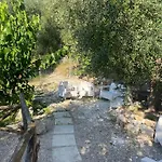 *Suite *Pozzo Dei Desideri