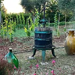 Trullo In Vigna