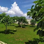 Villa Aurora 2