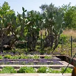 Masseria Bel Cortile - Ostuni