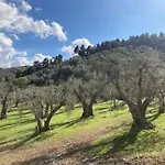 Casa Maremonti - Gargano