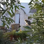 Trullo Primitivo