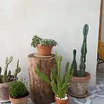 Casa Vacanze Con Piscina A 2 Passi Da Lecce Pt