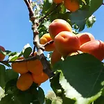 Repraesentative Zwei-Zimmer-Wohnung Mit Veranda Und Garten