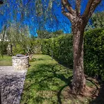 Bouganvilla